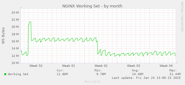 NGINX Working Set