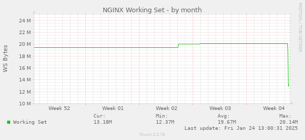 NGINX Working Set