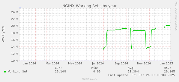 NGINX Working Set