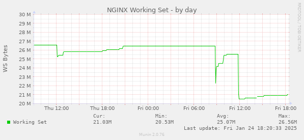 NGINX Working Set