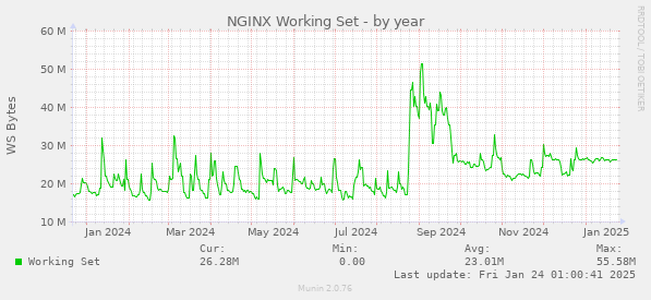 NGINX Working Set