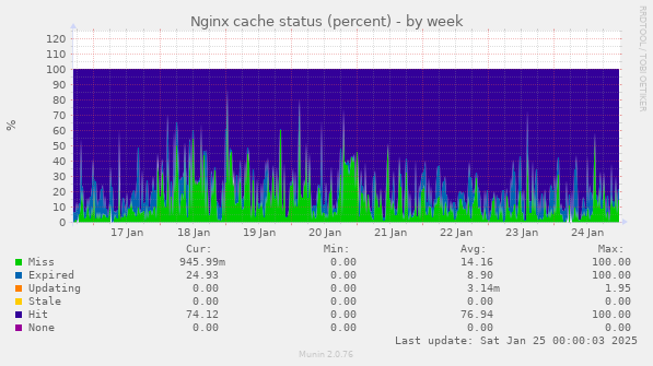 Nginx cache status (percent)