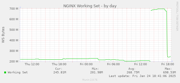 NGINX Working Set