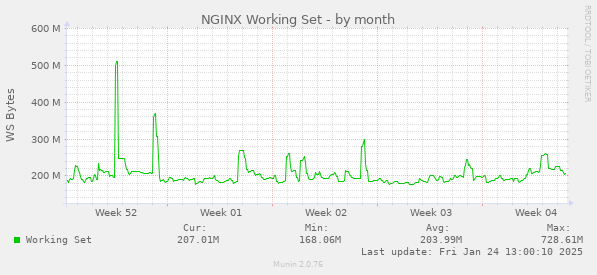 NGINX Working Set