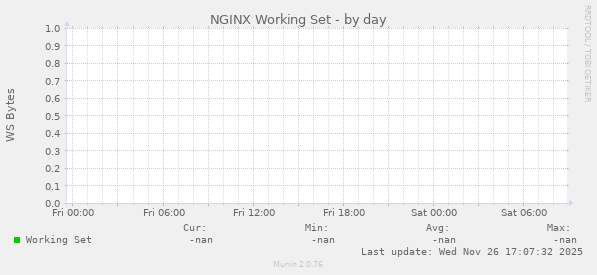 NGINX Working Set