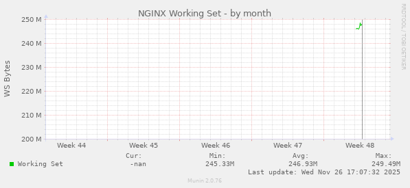 NGINX Working Set