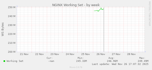NGINX Working Set