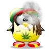 Profile picture for user theyosh